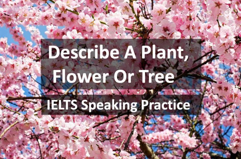 IELTS Speaking Test Part 2 Sample Answer: Describe A Plant, Flower Or Tree That You Like