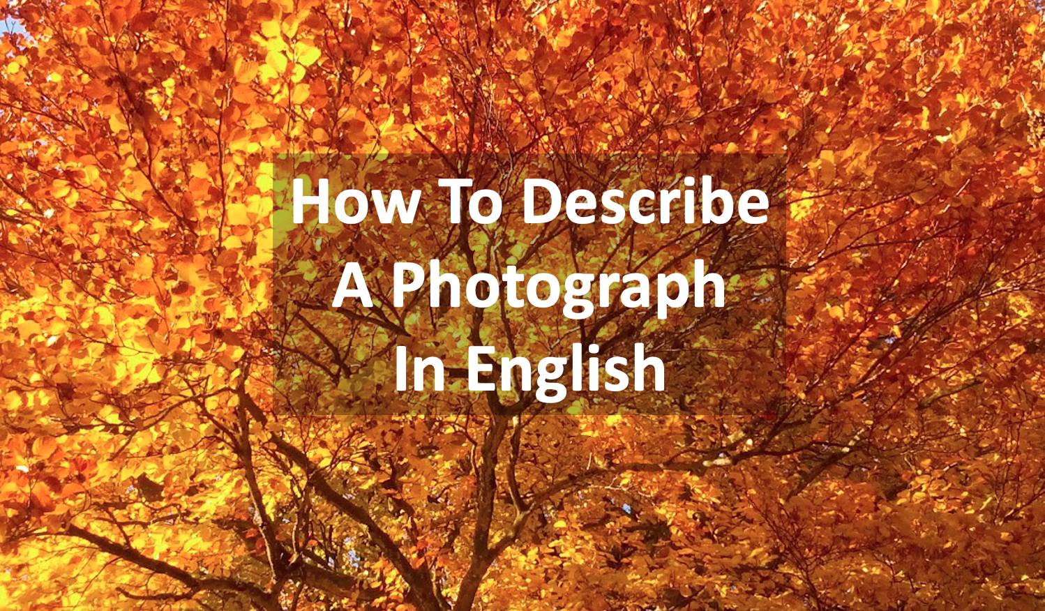 How to describe a photograph in English - IELTS exam skills